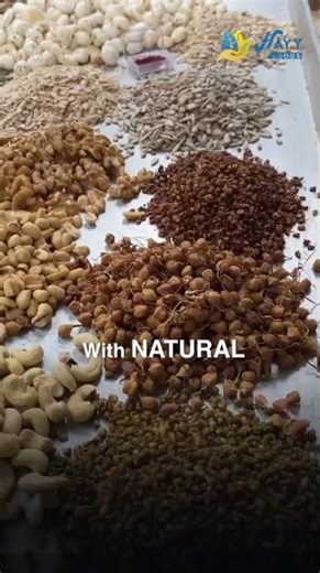 Nuts Powder | Protein Powder | Instant Protein Mix | Bone Strengthening Foods | Babies Nuts Powder