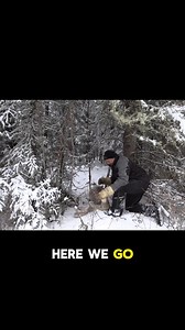 1K views · 18 reactions | Unlock the ultimate trapping experience...