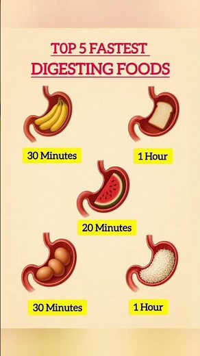 The 5 Fastest Digesting Foods for Your Stomach #healthyfood #easynutrition #digestivehealth