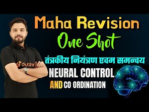 Maha revision | One shot | Neural तंत्रकीय नियंत्रण एवम समन्वय | 11th/NEET/Biology | By Yogesh sir