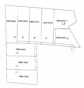 U11 Soccer Team Finishes Season as Champs