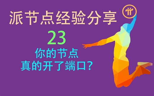 23你的节点真的开了端口？