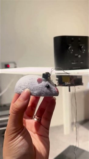 KonteX Commutator PRO - motion tracking #commutator #electrophysiology #neuropixels