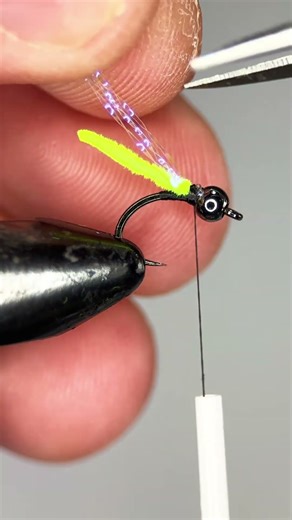Sample’s Caddis Pupa. Sz 14