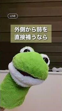 🍂秋の“かゆみ・ブツブツ”それ、乾燥あるあるかも⁉️