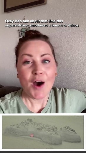 A huge eruption in Idaho caused a disaster 900 miles away #learnontiktok #pbseons #science #volcano