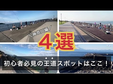 [2024 Edition] Here are the top 4 recommended fishing spots in Kanagawa!