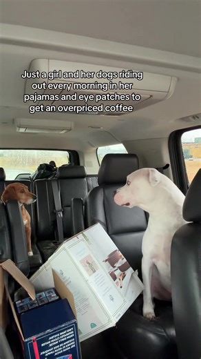 I know I’m not the only one… | Dogs Of TikTok