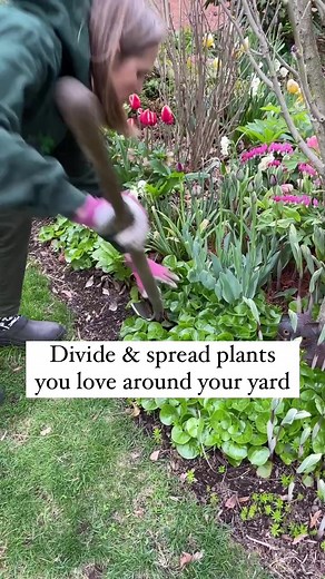 Easy Gardening Tips for Healthy Plants | Wild Ginger Farmstead