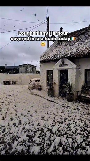 Loughshinny Village Fully covered in sea foam today🇮🇪😬 #ireland #fblifestyle #today #loughshinny #reels #dublinireland | Hashel Thilanka