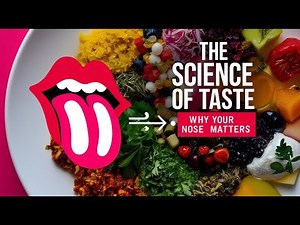 The Surprising Science of Taste | How Our Senses Shape Flavor