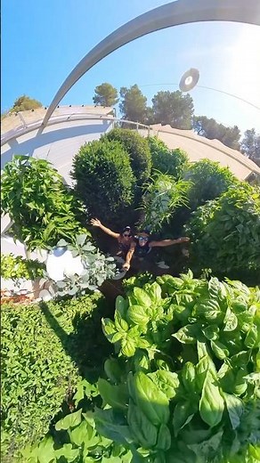 Grow more crops using less water and space with vertical farming on aeroponic towers. #farming