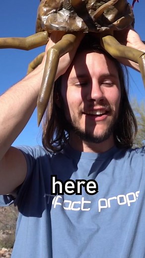 Master Chief VS The FLOOD #haloinfinite #masterchief