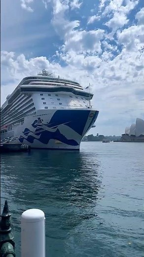 How Many Cruise Ships Can You Name? 🌍🚢