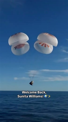 111K views · 453 reactions | After 286 days aboard the ISS, Sunita Williams is finally back on Earth! From unexpected mission extensions to groundbreaking research, she’s shown us what true resilience looks like.  Welcome home, Commander!  Credits: @nasa #discoverychannelin #discoverychannel #discoverychannelindia #discovery #space #spacenews #SunitaWilliams #SpaceReturn #NASA | Discovery Channel India | Facebook