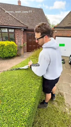 TitleThe Secret Behind Perfectly Trimmed Hedges 🌿✂️