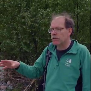 “There’s so much more to forests than just the trees themselves” 🌳​ This is Ennerdale, home to one of the longest running wild land restoration projects in the UK. We walked through the wilderness with forester Gareth Browning to discover how we are working with nature to shape the landscape in this unique and stunning valley. | Forestry England
