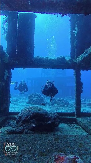 IRON REEF 🌊 Green Island’s Underwater World 🐟