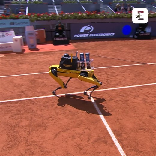 78K views · 259 reactions | Défaillant en 2022, performant en 2024, le robot-chien de Madrid a bien grandi 烙 | Eurosport France | Facebook