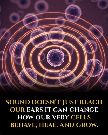 Scientists from Kyoto University have discovered that human cells can...