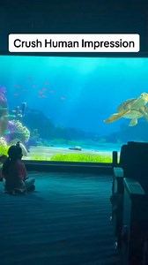 80K views · 2.6K reactions | Crush Human Impression #turtletalkwithcrush #disneyland #disneyworld #californiaadventure | Turtle Crush Talk | Facebook