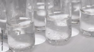 the laboratory puts a test tube with a nematode worm in place