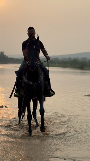 10K views · 198 reactions | Soulful ride with soul mate stallion ❤️EKTARA❤️#thathagene | Ibrahim Farms | Facebook