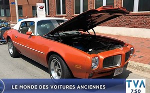 Le merveilleux monde des voitures anciennes