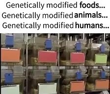 The Hybrid Age | Thinking Critically