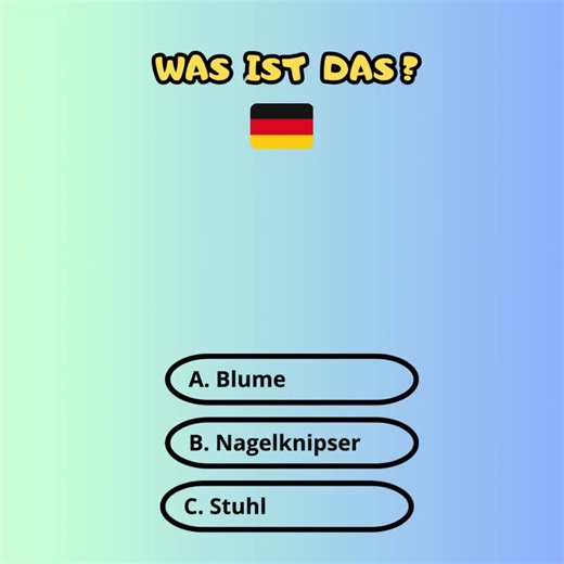 #followme #learngerman #deutschlernen🇩🇪 #viral_video #learnigdays
