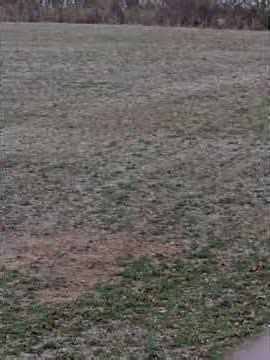 Yes, he got her!! 50 yards from off screen! Great job Tripp!!