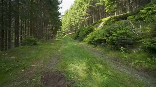 63K views · 516 reactions | Audio Stories on Reels | Facebook