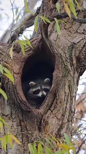 Our World in Photographs on Reels