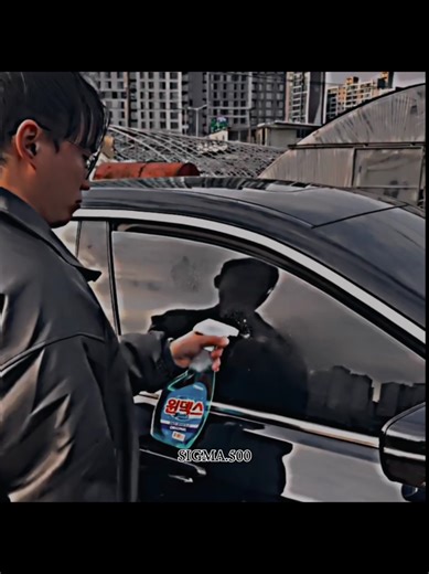 Exploring the Sigma Male Phenomenon