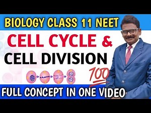 Cell Cycle and Cell Division Class 11 l Phase of Cell Cycle and Mitosis l NCERT