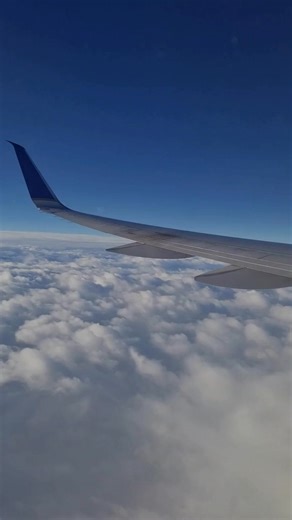 1.7K views · 11 reactions | Discover the world with China Airlines and enjoy premium service every step of the way. Fares start from just $529* return to Brisbane, with other exciting cities also on sale including Tokyo, Bangkok, Taipei, Shanghai and London. *T&Cs and booking fees apply | Mix & Match | Facebook