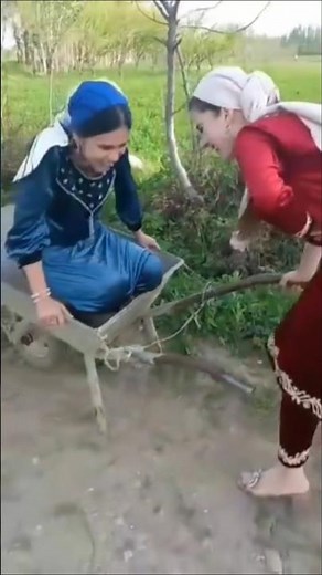 Ки шинохт😂