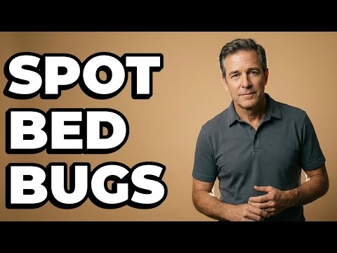 How Can You Identify Bed Bugs By Their Movement?