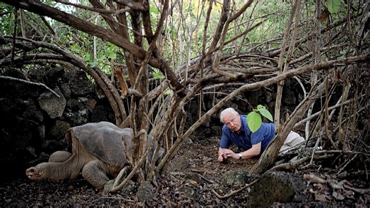 Attenborough’s Last Encounter with Lonesome George