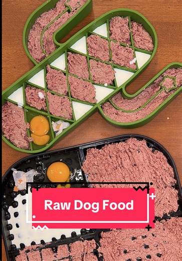 Healthy RAW Dog Food Dinner Ideas