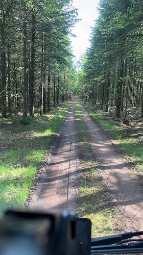 Fynne (@carstenfynne)’s videos with original sound - Fynne