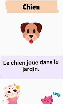 Phrases Françaises Essentielles avec Traduction — Facile et Rapide !