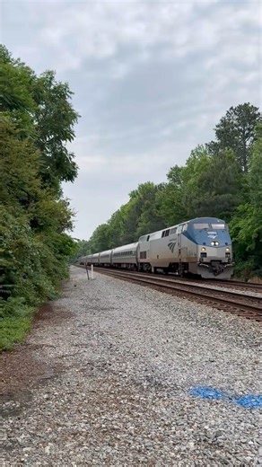 Amtrak P090 Palmetto at Meadow #shortvideo #shorts #trains #amtrak