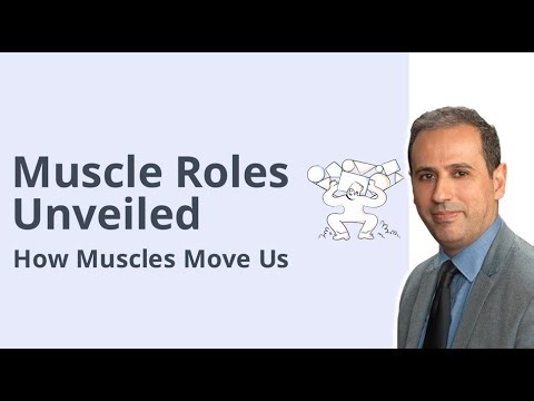Biomechanics of Skeletal Muscle | Agonist, Antagonist, Stabilizer & Neutralizer Explained | M6L2C