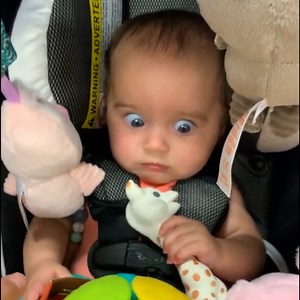 1.2M views · 10K reactions | Random funny moments | Ray's Funny Page | Facebook