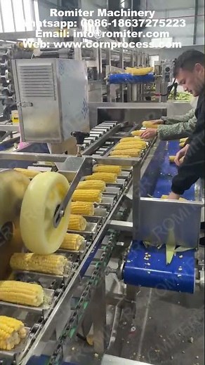 Automatic Sweet Corn Husker and Double Head Cutting Machine