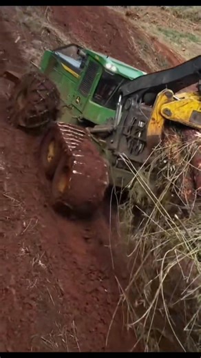 Logger work time 🚜❤️🌲💵 . .​#swamp #swamploggingsc #swamplogging #carters #southcarolina #johndeere #tigercat #forestry #satire #tigercat #carters #tiktokviral #swamp #forestry #johndeere #equipment | Peake Warren