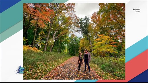 Where to Celebrate Fall