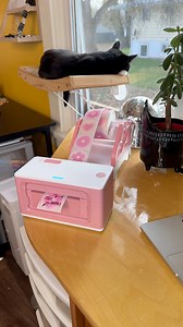 Thank you Munbyn Thermal Printer for sending me the new PINK air printer. You know me so well 💕Discount Codes and more info ⬇️✨FOR PRINTER: Use the link in my bio page labeled “Munbyn Printer” to find the printers this 20% discount works for! It should be automatically applied. CODE: munplus20(If you want the same one as me click on the “Real Writer 941” and select “pink” and “AirPrint”)✨FOR LABELS & EVERYTHING ELSE: Use the link in my bio page labeled “All Munbyn” for 5% off labels, printers a
