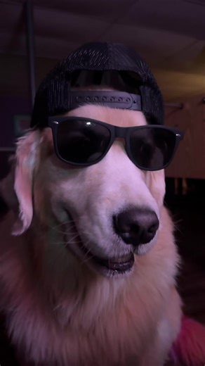 morph 3D (@morph_3_d)’s videos with original sound - Zach